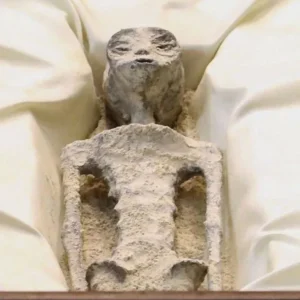 Read more about the article “Alien” Corpses Displayed in Mexico Congressional Hearing Deemed “Too Humanoid” by Experts