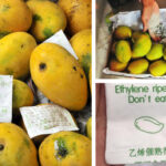 FSSAI Warns Against Calcium Carbide in Fruit Ripening