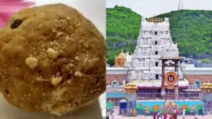 Read more about the article FSSAI Issues Show Cause Notice to A R Dairy Over Alleged Ghee Adulteration at Tirupati Temple